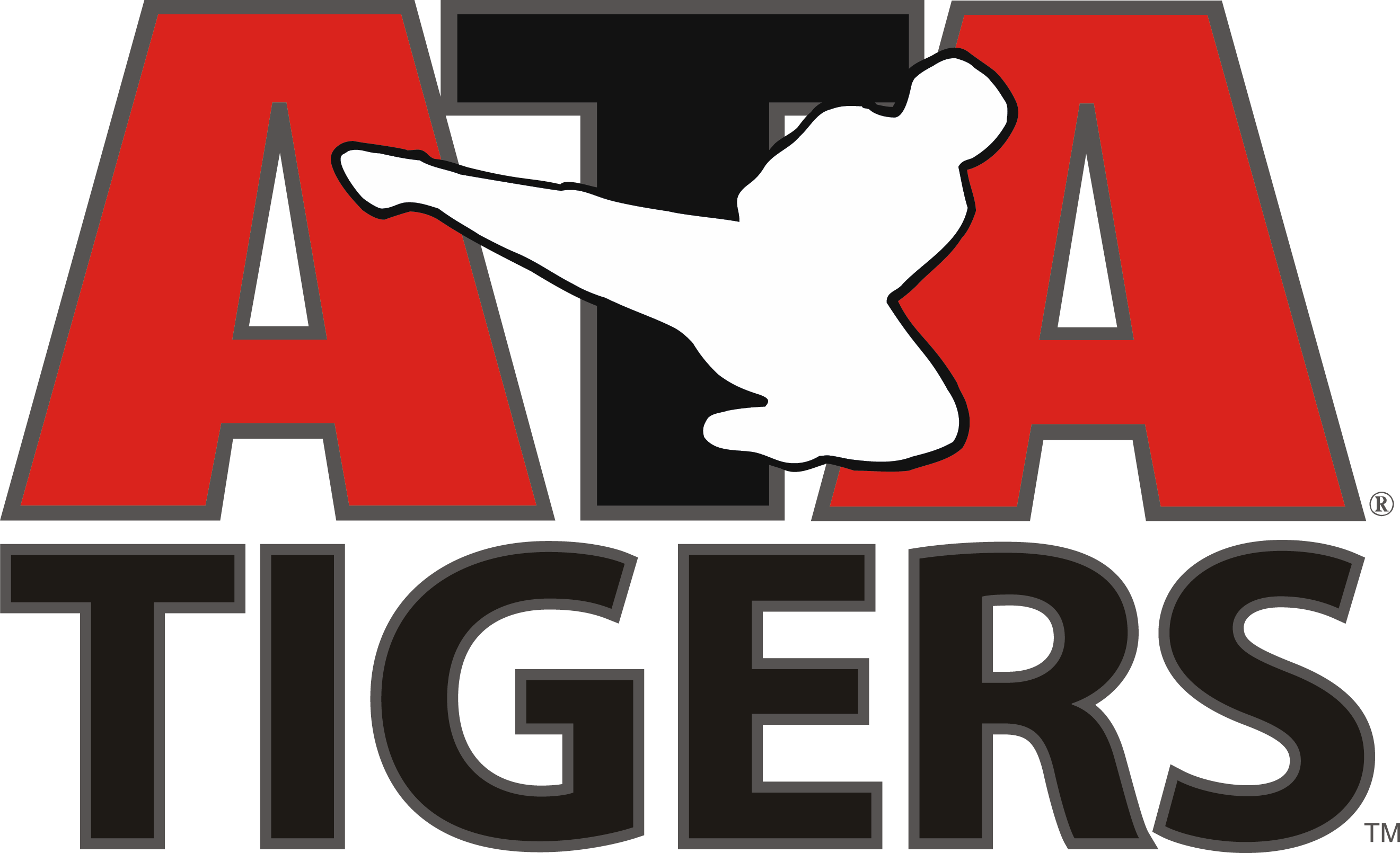 ATA Tigers -Children's Martial Art Classes in Edmonton (ages 4-6) - ATA